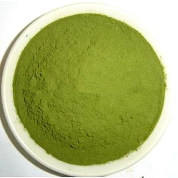 Alfalfa Grass Juice Powder 25_1 Nutritent